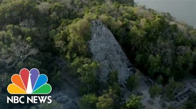 Mexico's Multi-Billion Dollar Train Project Through Sacred Mayan Sites Resumes