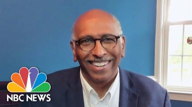 As Dems Meddle In GOP Primaries, Michael Steele Says 'Get Rid Of This Primary System'
